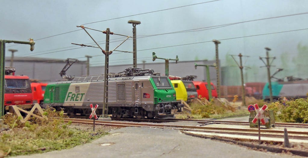 DSCN3715-1.jpg